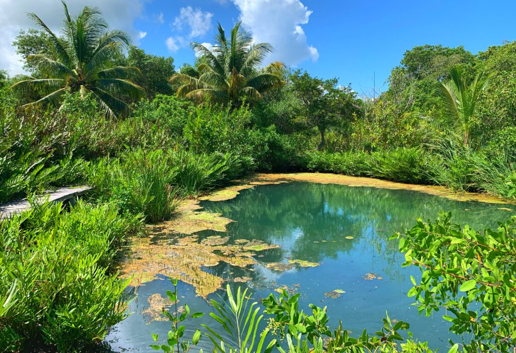 Kambulnah Cenote