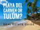 Playa Del Carmen or Tulum Real Estate
