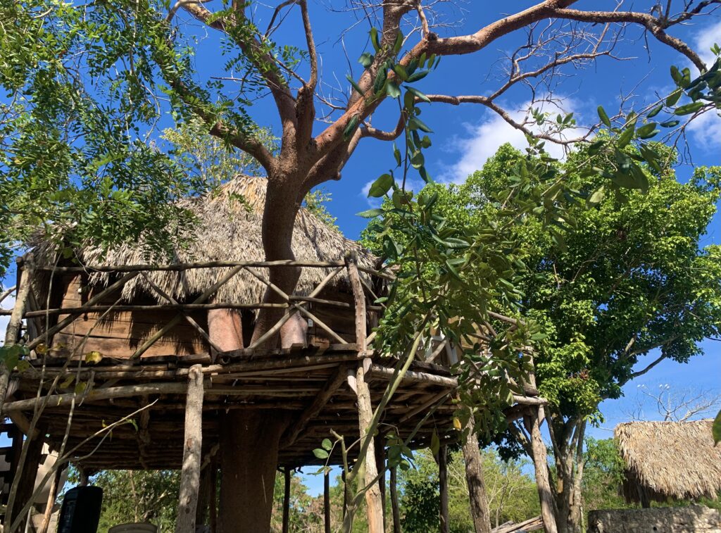 Cenote Dzonotoch tree house