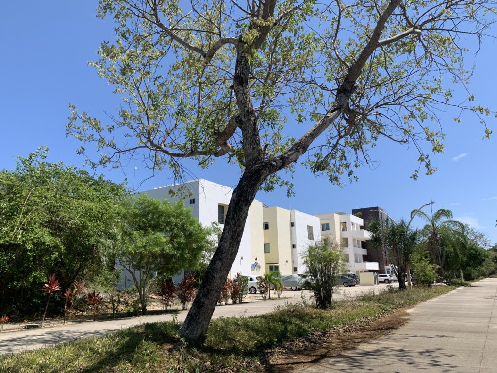 El Cielo Playa Del Carmen