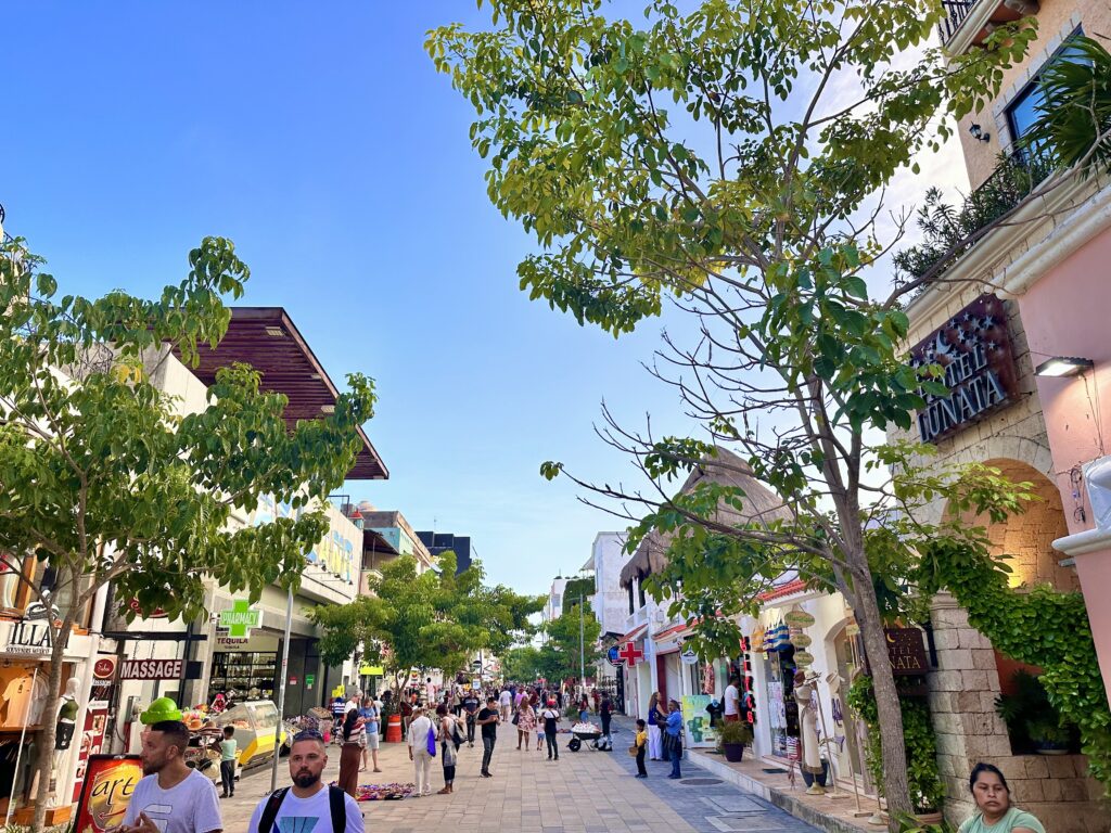 5th Avenue Playa Del Carmen