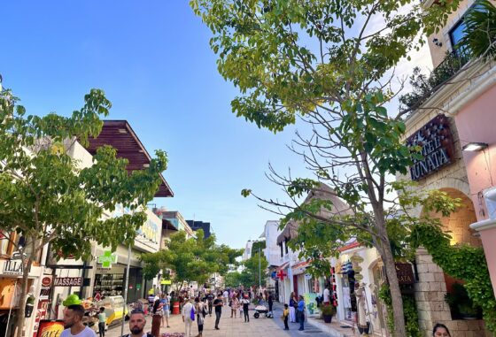 5th Avenue Playa Del Carmen