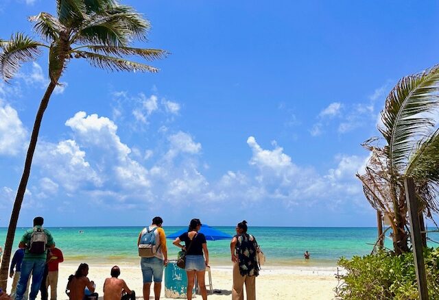 public beaches in Playa Del Carmen