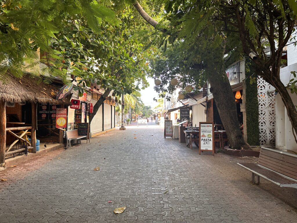 5th Avenue in Playa Del Carmen