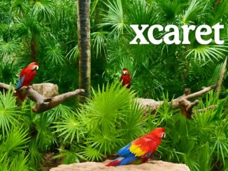 Xcaret park admissions