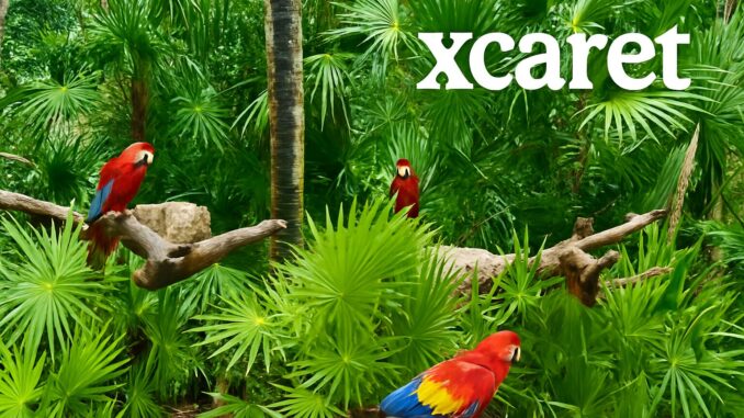 08883f3a-924e-481f-aca0-cc6b80c261b6 Xcaret park admissions