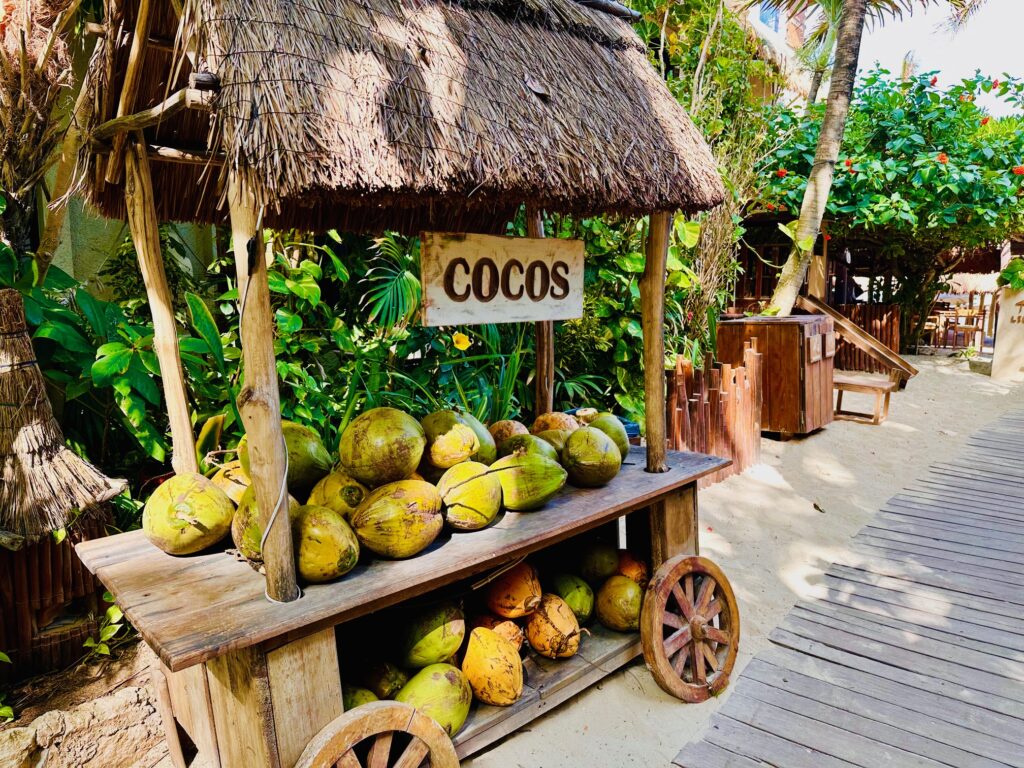 Cocos