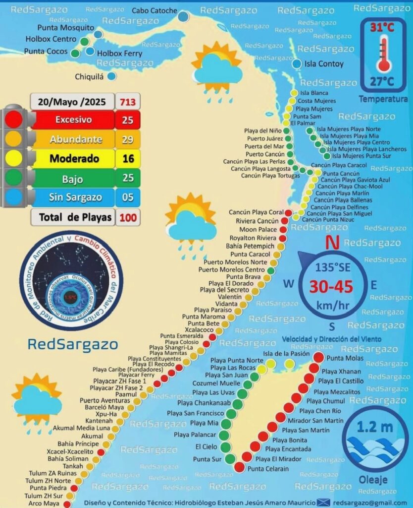 Seaweed forecast for today Riviera Maya.