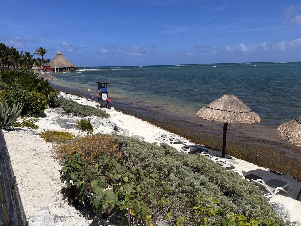 beaches of Cancun