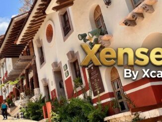 Xenses Park
